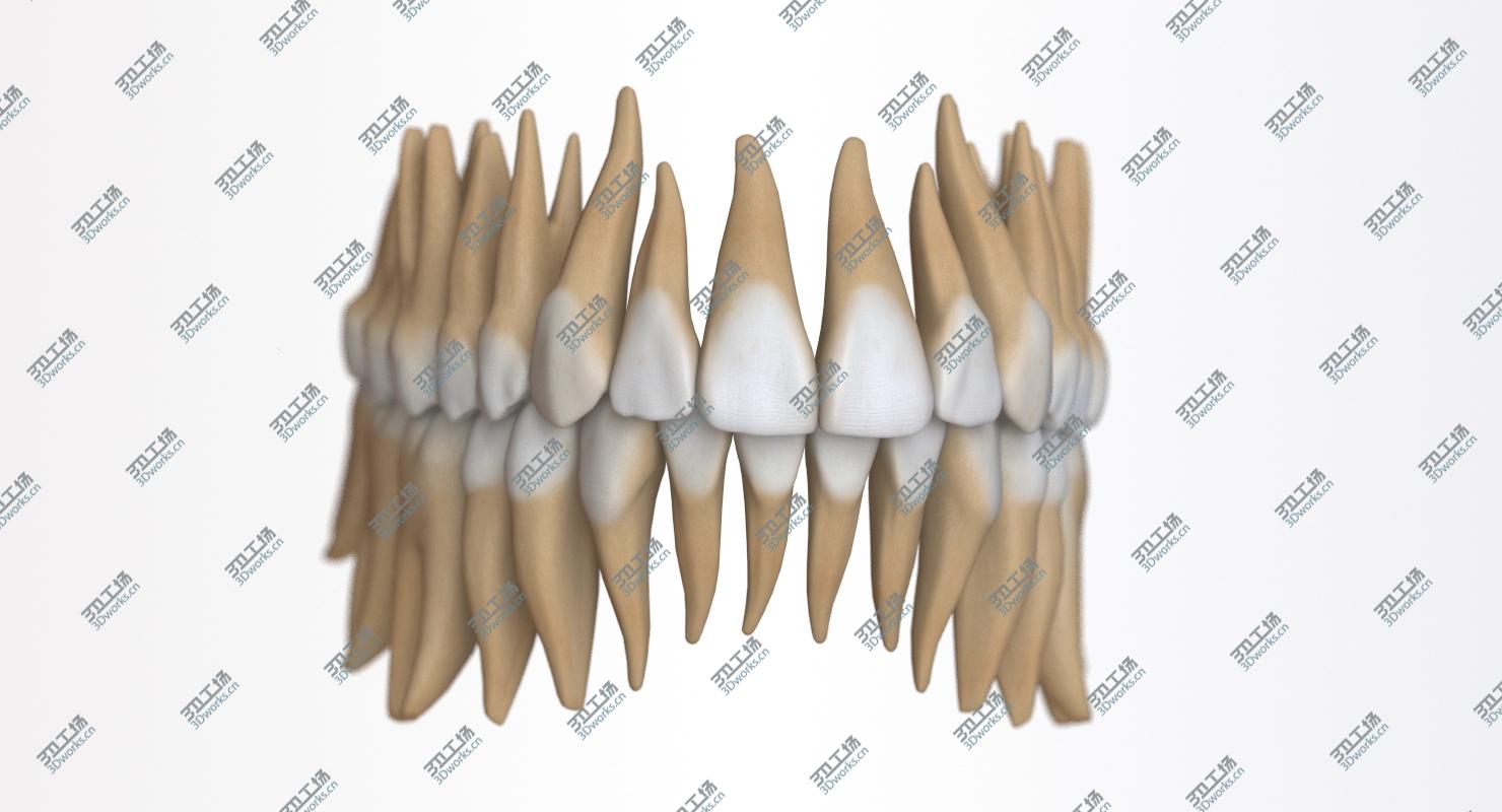 images/goods_img/2021040164/Dental Mouth Stiylzed 3D/4.jpg